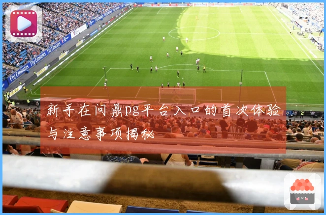 新手在问鼎pg平台入口的首次体验与注意事项揭秘