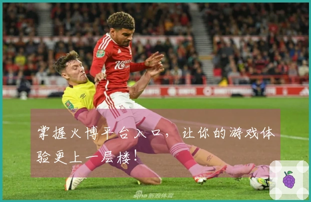 掌握火博平台入口，让你的游戏体验更上一层楼！