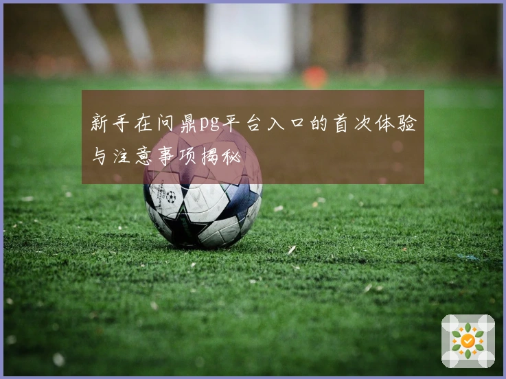 新手在问鼎pg平台入口的首次体验与注意事项揭秘