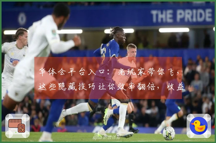 华体会平台入口：老玩家带你飞，这些隐藏技巧让你效率翻倍，收益最大化！